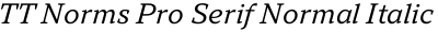 TT Norms Pro Serif Normal Italic
